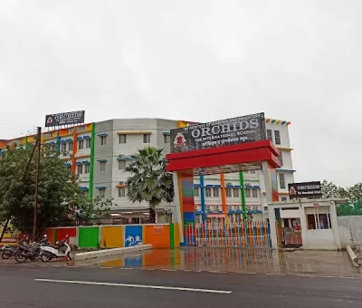 Orchids The International School